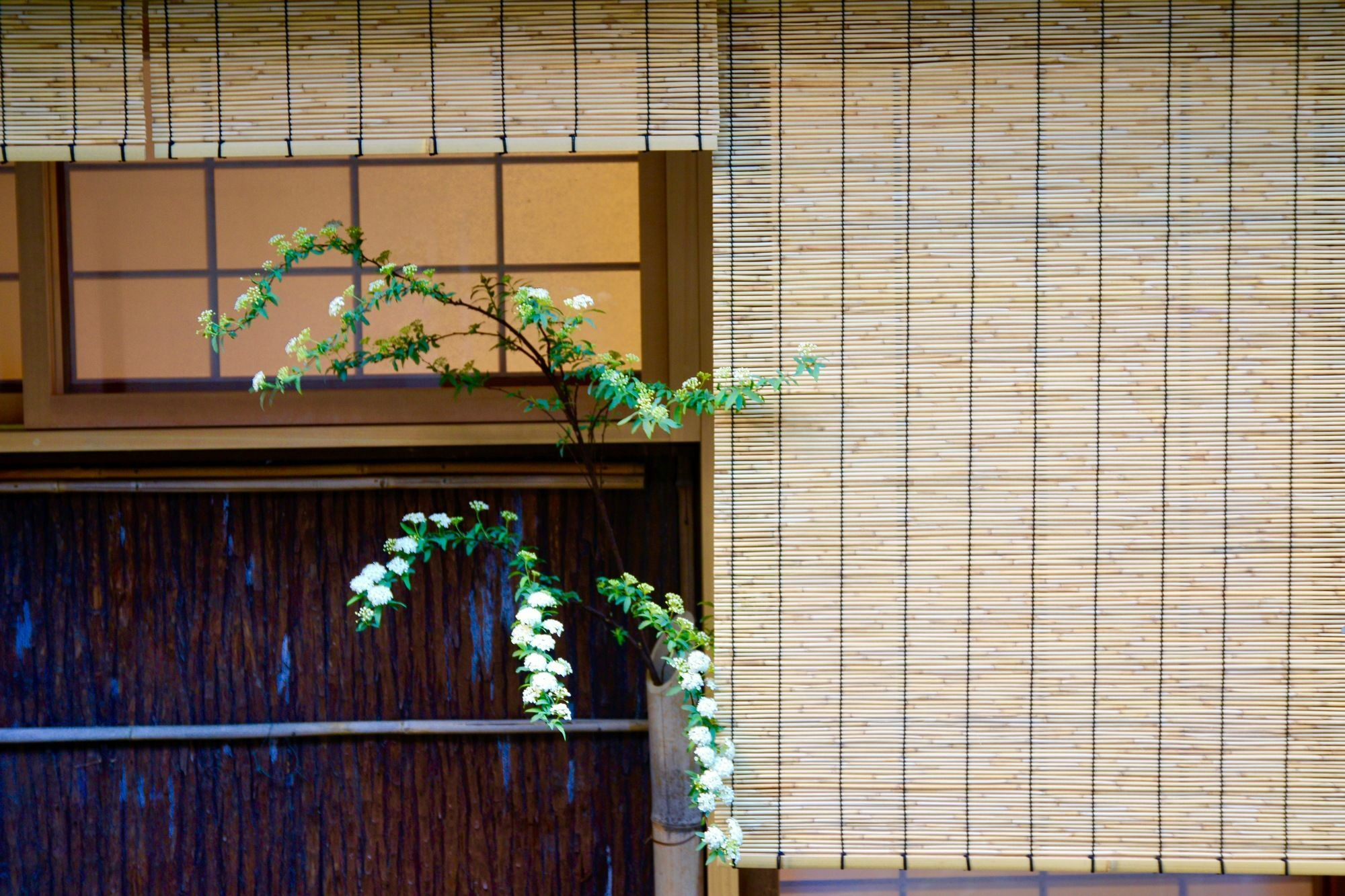 Mitsuki Kyoto Hotel Екстериор снимка