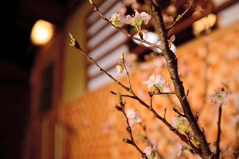 Mitsuki Kyoto Hotel Екстериор снимка